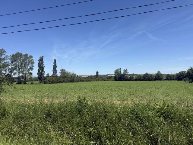 Ségreville Vente Terrain 31