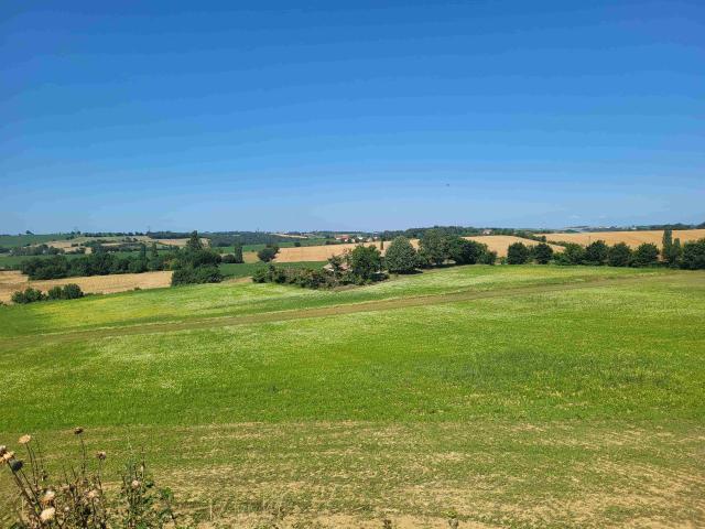 Ségreville Vente Terrain 31