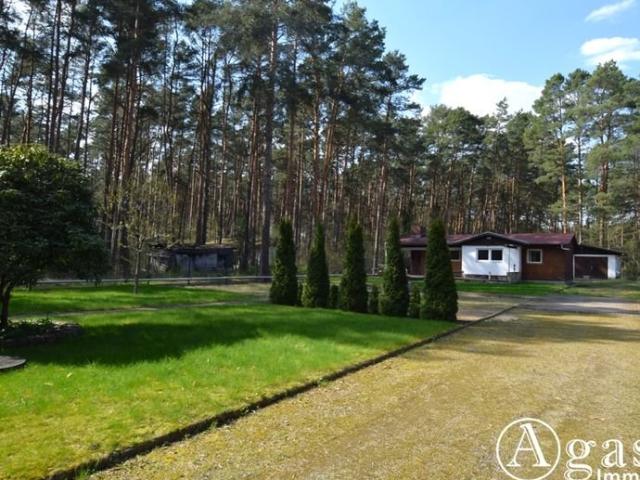 Sehr gepflegter Bungalow mit Garage auf liebevoll angelegtem Grundstück in Borkheide