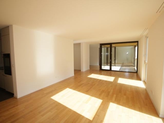Sehr großes, 21/2 Zimmer Dachboden von 94 m², konsequent modern!