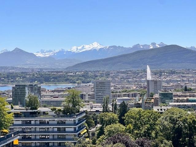 Sehr schöne Wohnung mit Seeblick in Lebensrente in Genf