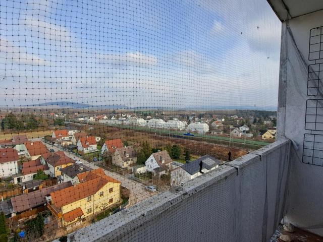 Sehr schöne, renovierte Eigentumswohnung. Empfehlenswert !