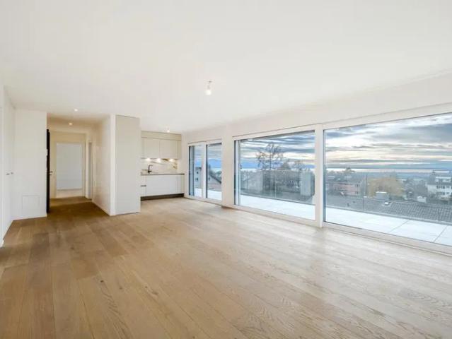 Sehr schöne neue Wohnung mit Panoramablick auf den See und die Alpen