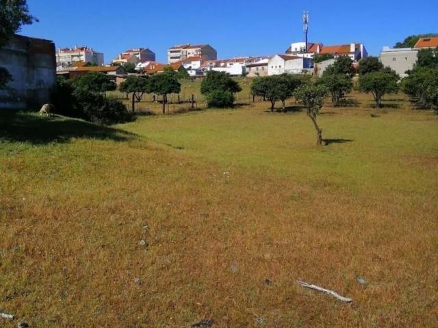 Seixal Setúbal 91455582