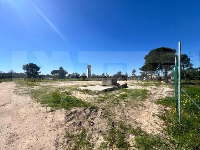 Seixal Seixal 100219437