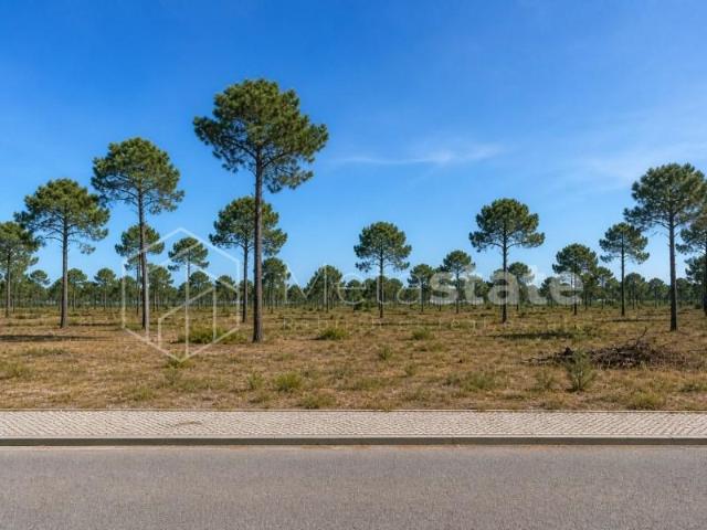 Seixal Seixal 101741051