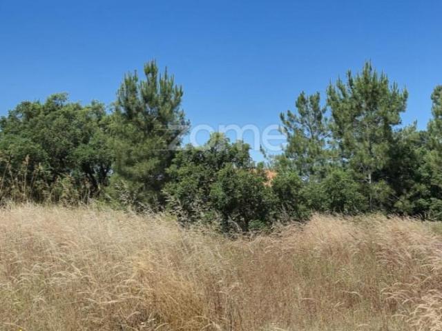 Seixal Seixal 92498396