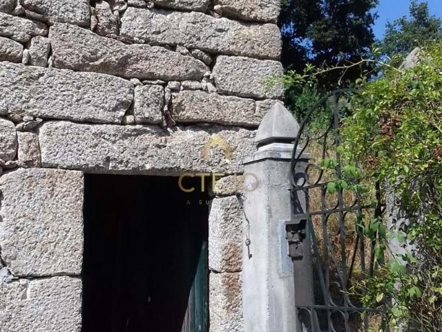 Seia Guarda 84140999