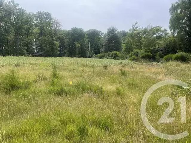 Seichebrières 45530 Achat / Vente terrain