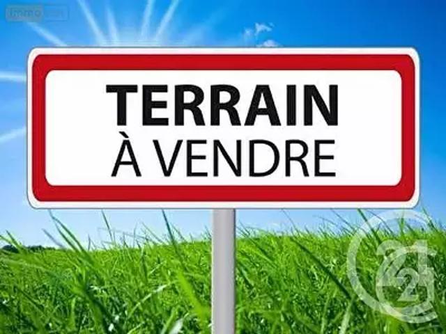 Seine Port 77240 Achat / Vente terrain