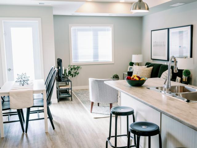 Seine River Crossing Road Max + Garage Townhome for Rent