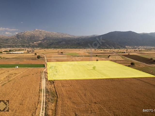 SEKİ OVASINDA 16 DÖNÜM TARLA,ANAYOLA 100METRE