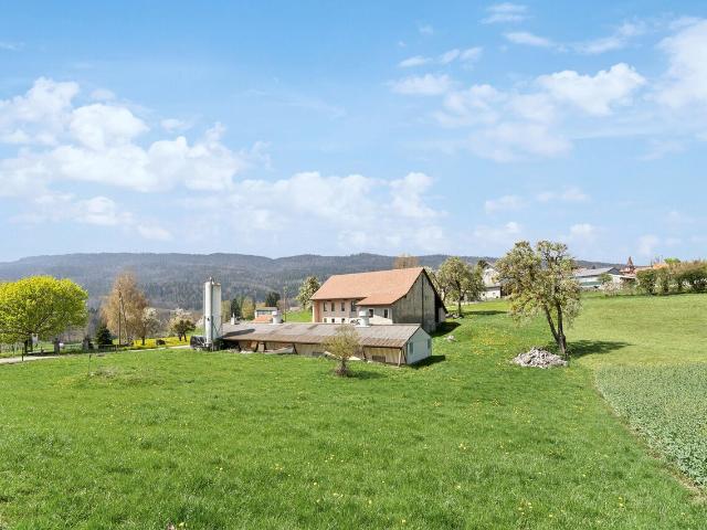 Selten: Bauernhaus aus dem 19. Jahrhundert bei Gland Großes Volumen und großes Potenzial