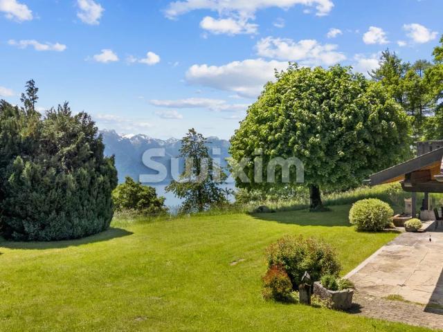 Selten! Großes Einfamilienhaus in grüner Umgebung!