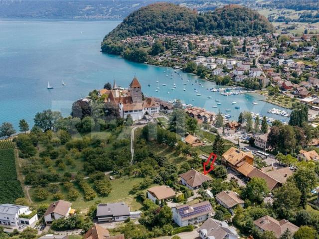 Seltene Gelegenheit mit See und Schlossblick grosszügiges EFH mit Renovationspotenzial