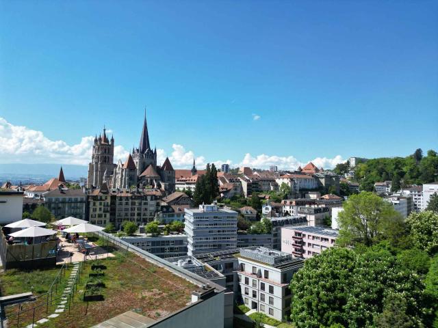 Seltene Gelegenheit: Loft mit Dach in der Innenstadt