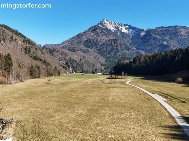 Seltene Rarität inmitten der Salzkammergutseen