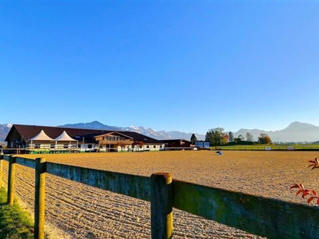 Seltene Reitstätte, 20 Minuten von Vevey entfernt