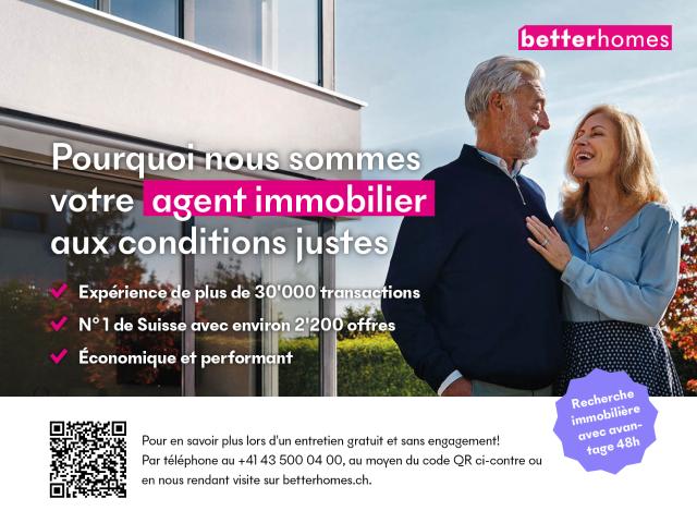 SELTENES UND EINZIGARTIGES DUPLEX