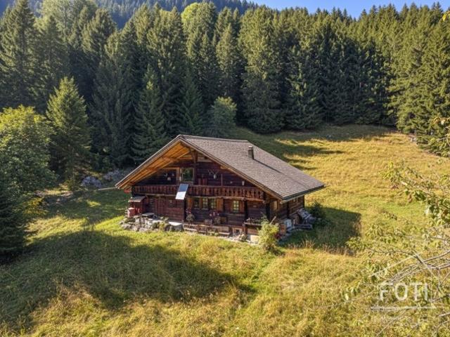 Seltenes Anwesen 7,5 Zimmer Chalet eingebettet in 28.000 m² Wald und Wiese