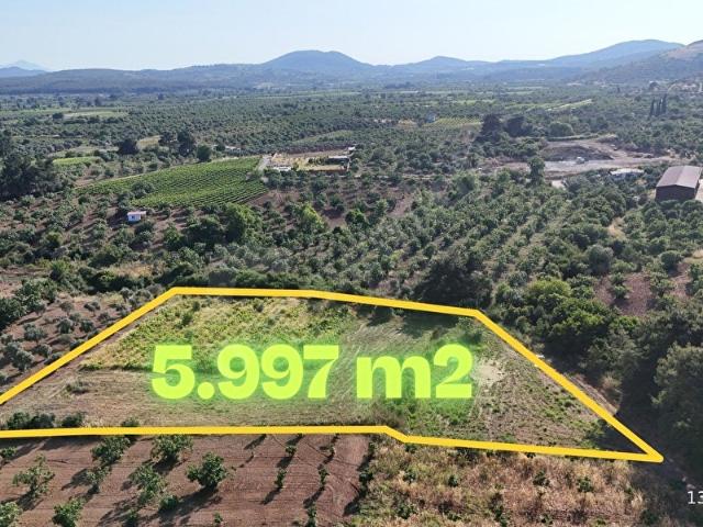 SELÇUK HAVUTÇULU KÖYÜNE BAĞLI 5.997 M2 MÜSTAKİL TAPULU TARIM ARAZİSİ
