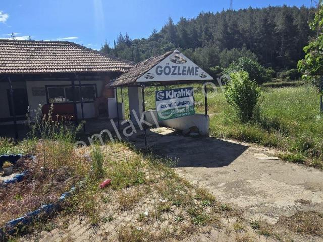Selçuk Yolu At Çiftliği Karşısı