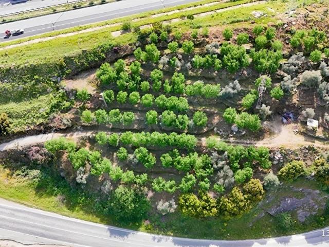 SELÇUKBELEVİ SATILIK MÜKEMMEL KONUMDA 4.348m2 BAHÇE