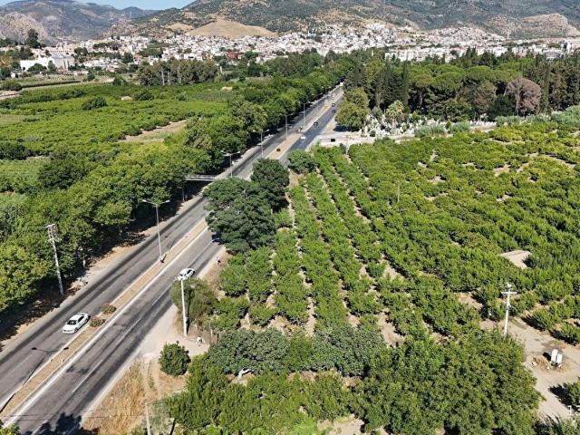 SELÇUKKUŞADASI ANA YOLA CEPHELİ 3.991 m2 ŞEFTALİ BAHÇESİ