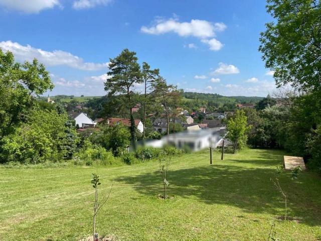 SELBSTVERSORGER LANDGUT MIT 9789 m² LANDWIRTSCHAFT IDEAL FÜR NATURFREUNDE & TIERLIEBHABER!