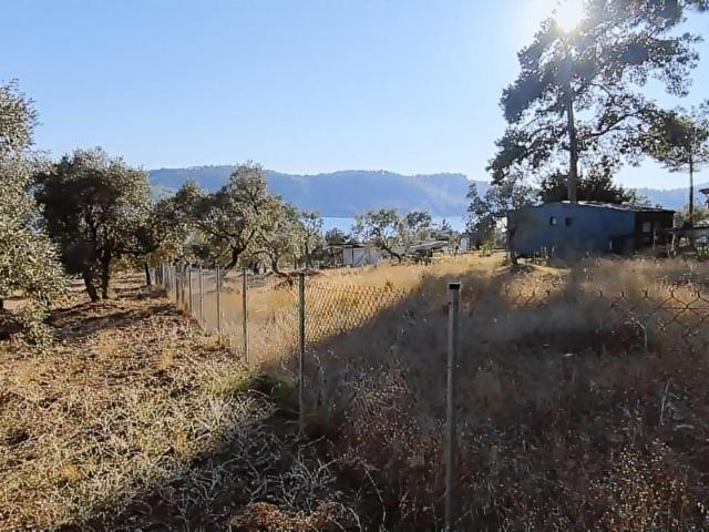 SELDA KOZALI'DAN AKBÜK KOYUNDA DENİZE SIFIR SATILIK TARLA