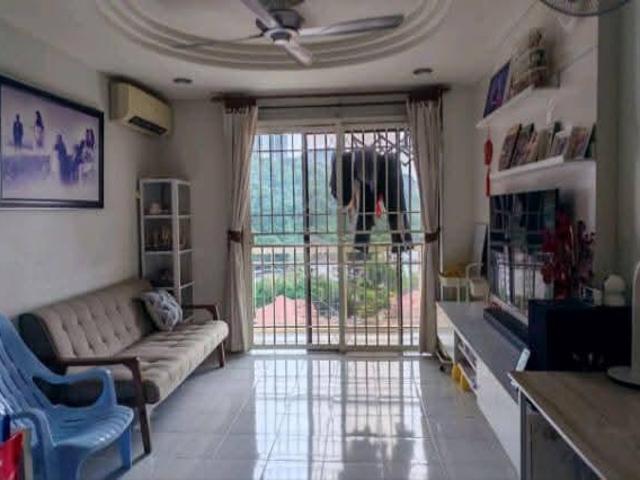 SELECTED DEAL Taman Desa Relau 2 Condominium