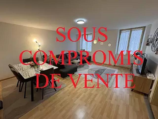 Sélestat 67600 Achat / Vente appartement 2 pièces t2