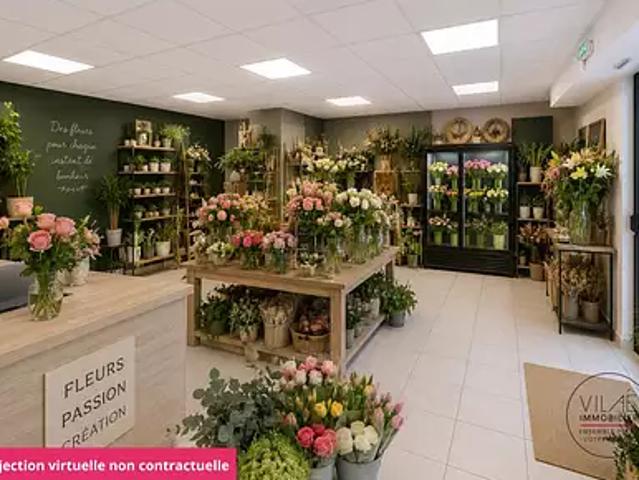 Sélestat 67600 Achat / Vente immeuble