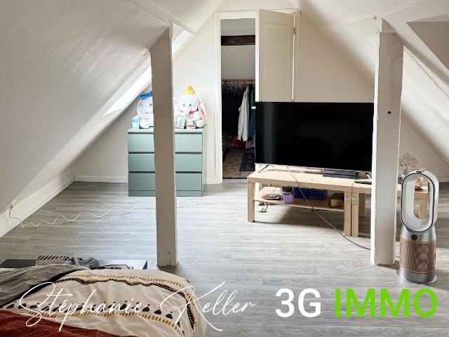 Sélestat Vente Immeuble 67