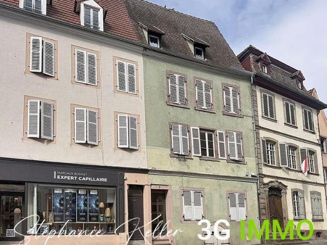 Sélestat Vente Immeuble 67