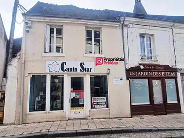 Selles sur Cher 41130 Achat / Vente immeuble
