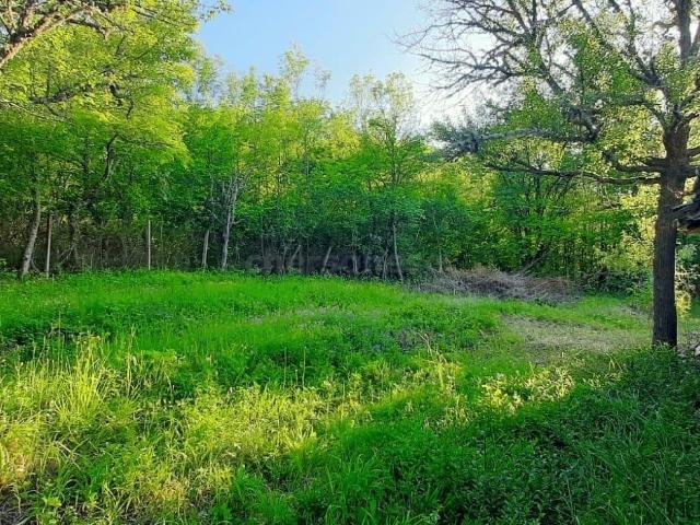 село Морозовка, Ключевая, продажа земельного участка, район Балаклавский