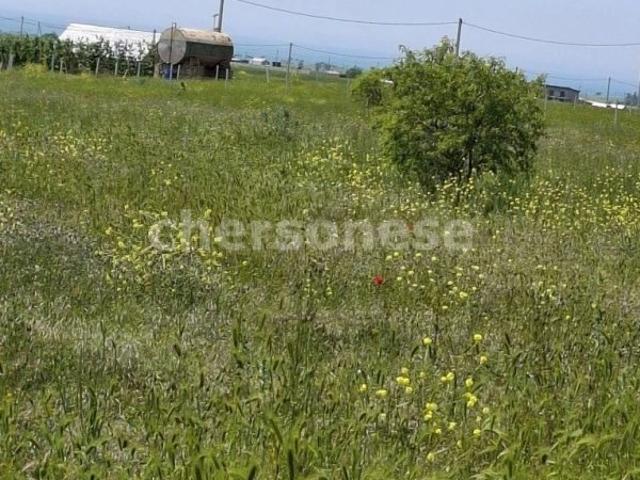 село Береговое, Новосёловская, продажа земельного участка, район Песчановское сельское поселение