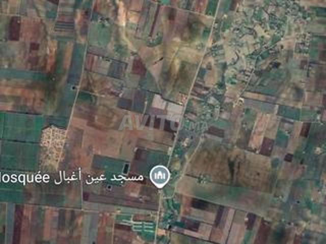 Sept hectares agricoles, terrain Ain Aghbal, الحاجب