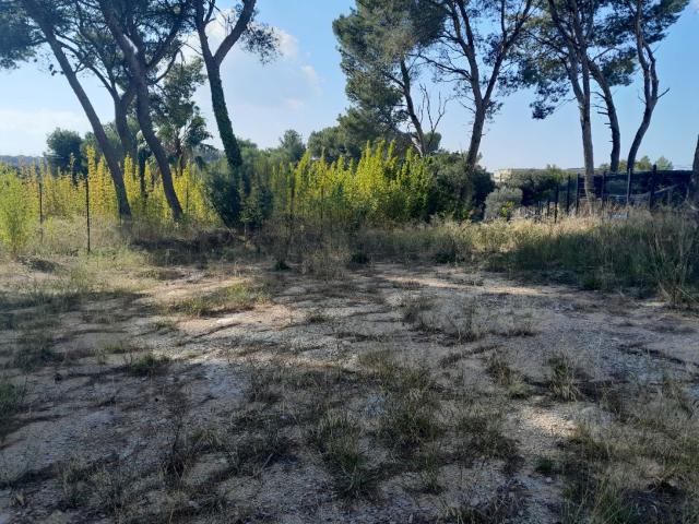 Septèmes les Vallons Vente Terrain 13
