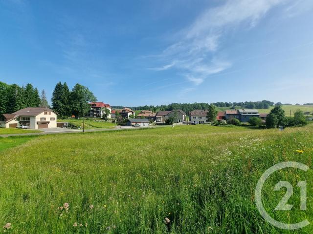 Septmoncel Vente Terrain 39