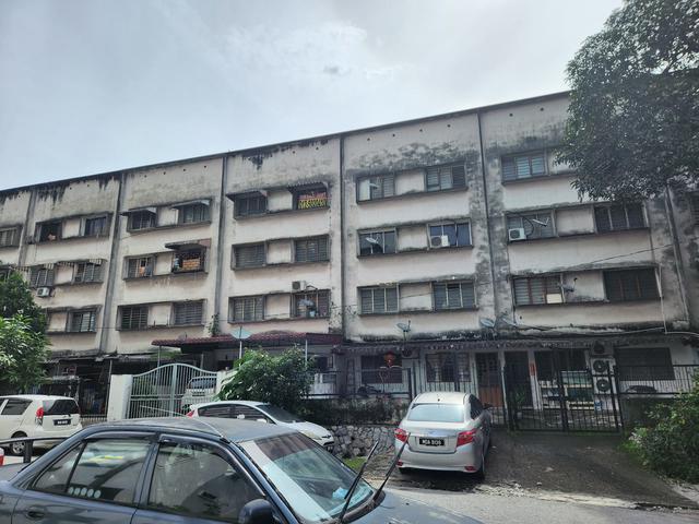 SepaduFlat Tmn Lee Yan Lian Freehold Tenanted Near PearlPoint