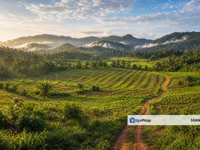 Sepang Agriculture Land For Sale