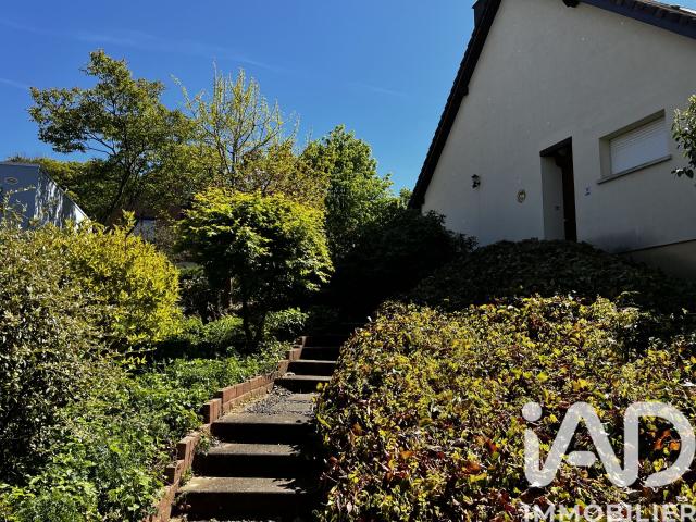 Seppois le Bas Vente Maison 68