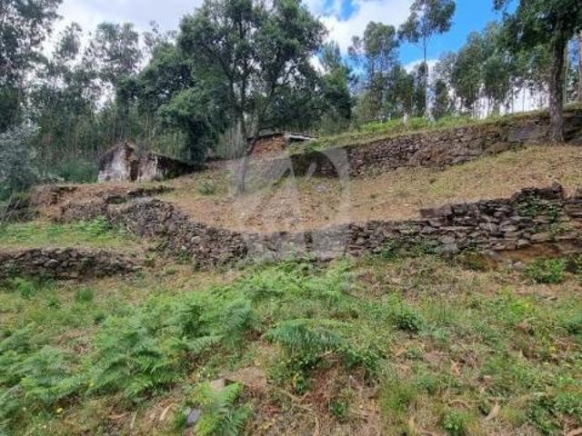 Sertã Castelo Branco LS83993714