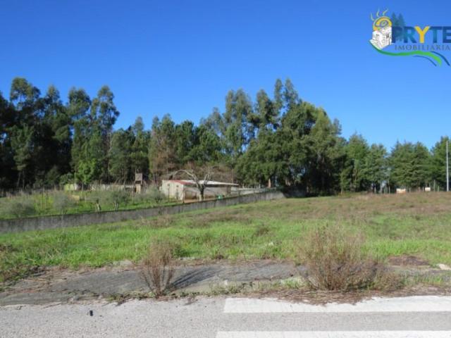 Sertã Sertã 104305444