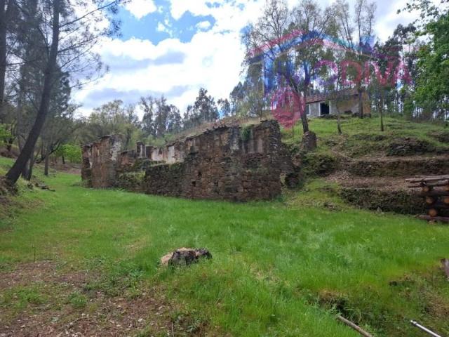 Sertã Sertã 104476754