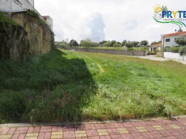 Sertã Sertã 104840134