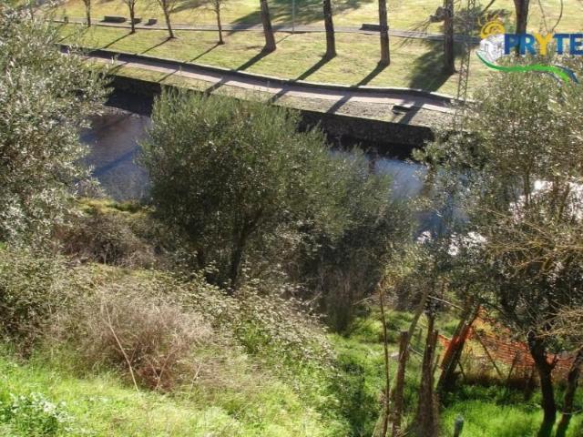 Sertã Sertã 104840130