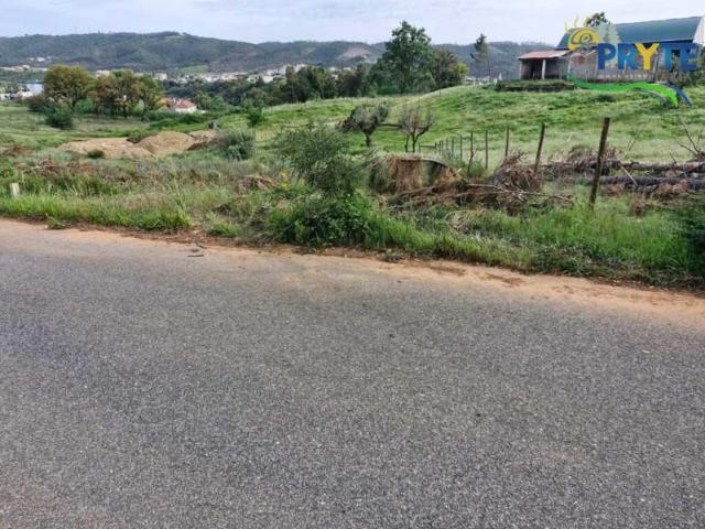 Sertã Sertã 101741378